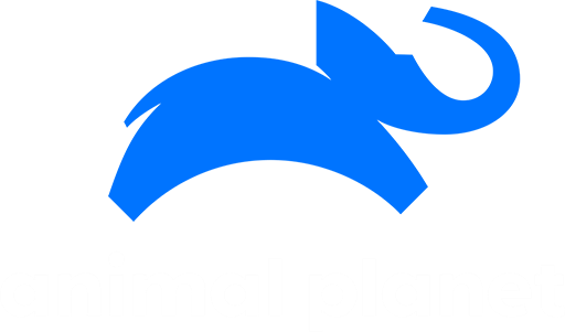 ARG: ANIMAL PLANET