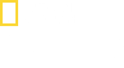 BRA: NAT GEO WILD ʙʀᴀsɪʟ ᴴᴰ