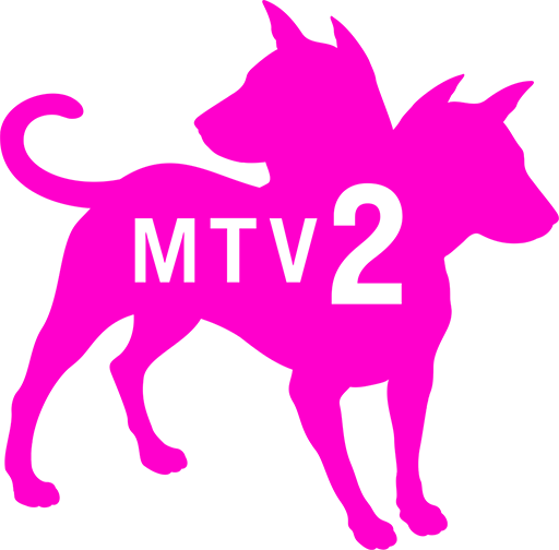 CA: MTV 2