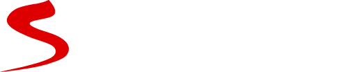 SEZNAM TV