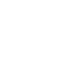 STV_24