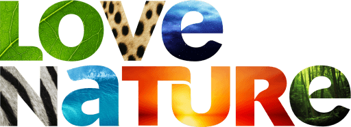 NL| Love Nature
