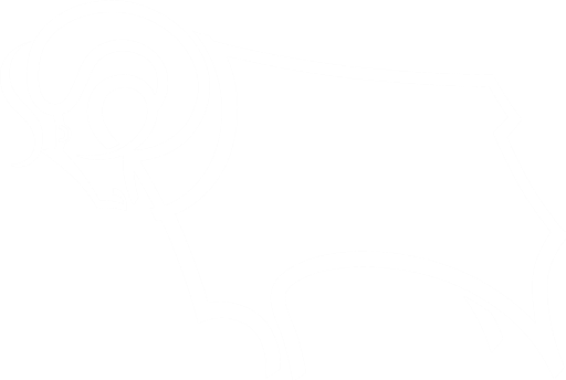 Derby County