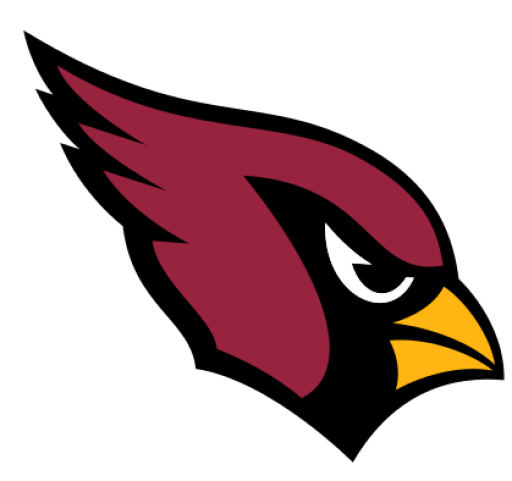NFL: Arizona Cardinals