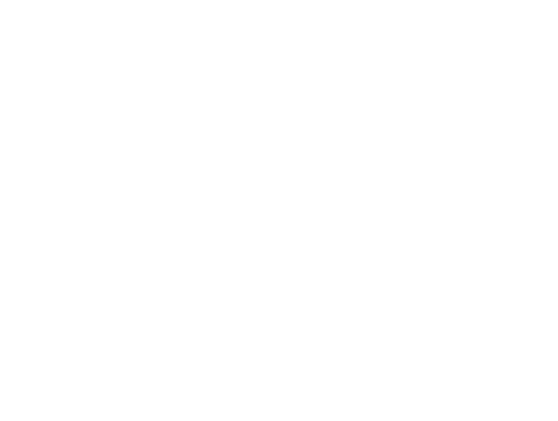 CAR: Bravo (NEXGEN)