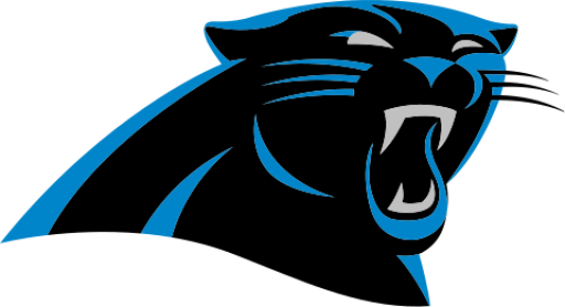 NFL: Carolina Panthers