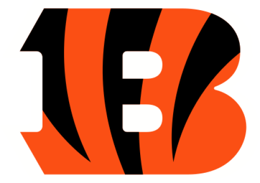 NFL: Cincinnati Bengals