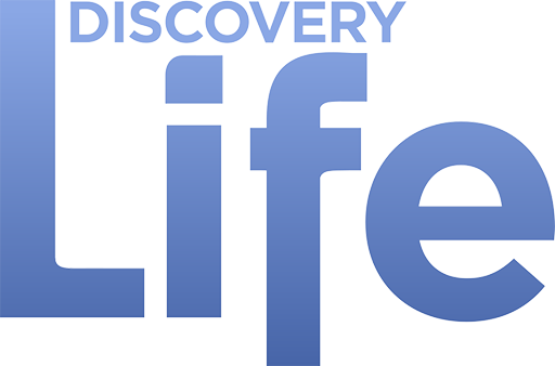 USA: Discovery Life
