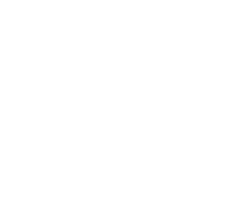 USA: NESN 4K