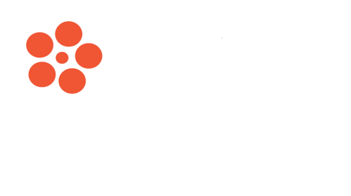 USA: The Film Detective